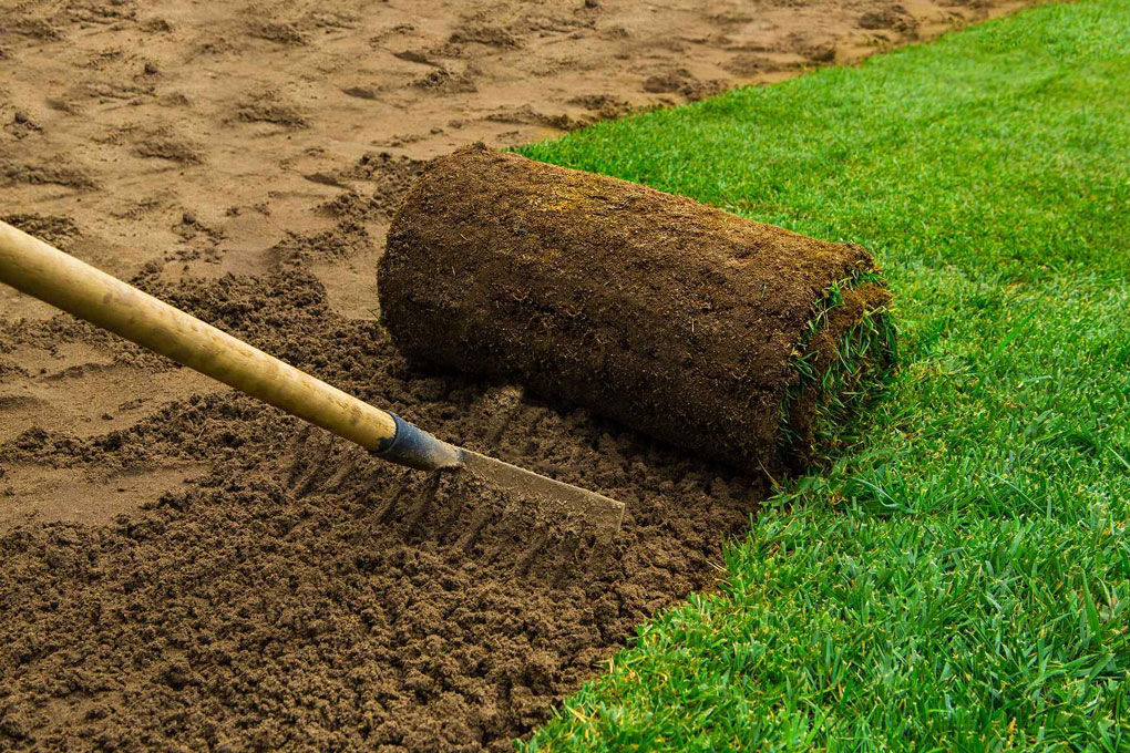 Conception de Jardins et Aménagements Paysagers